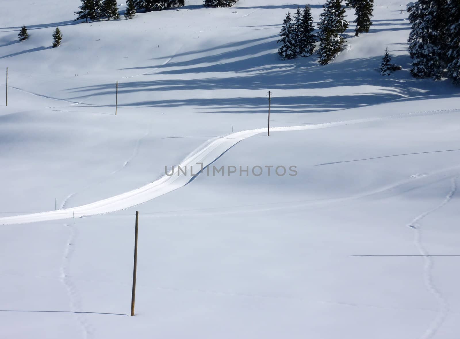 Ski slope in snowy mountain with few fir trees