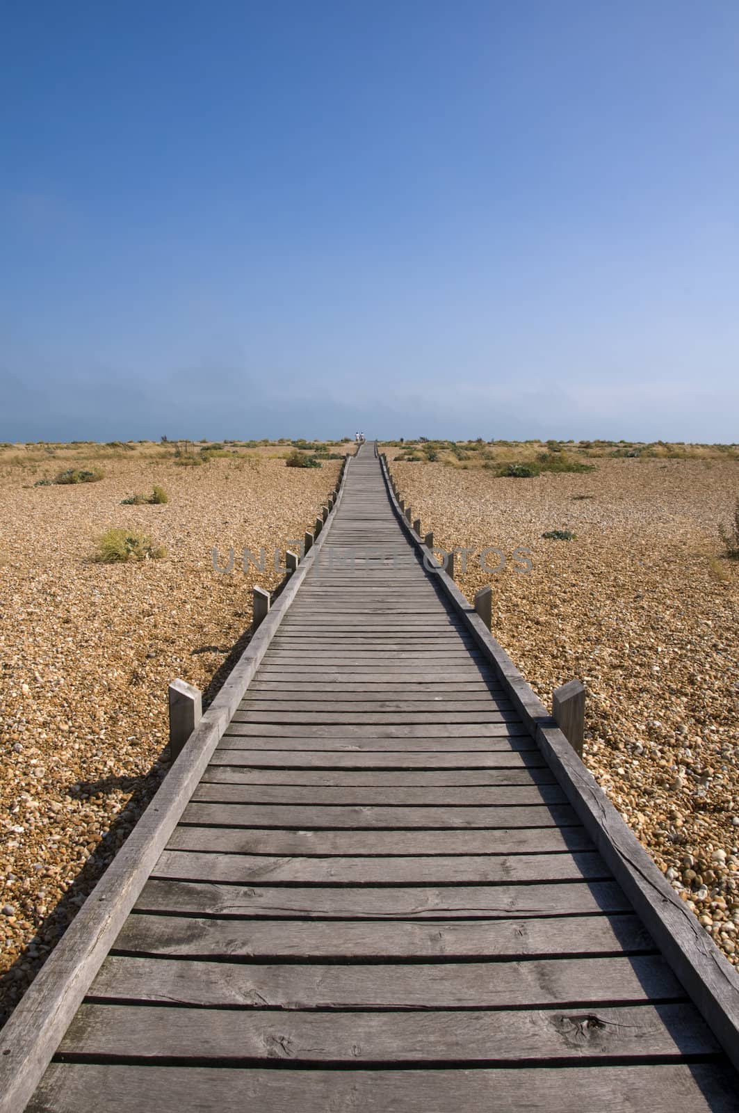 Boardwalk by mbtaichi