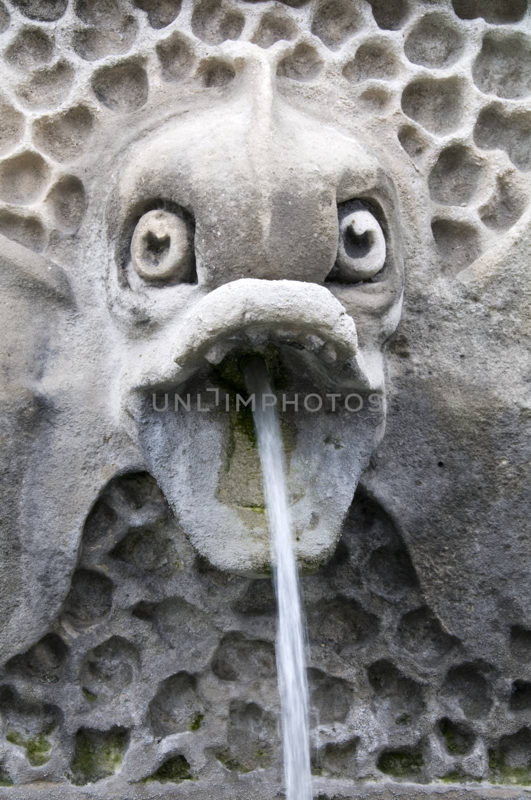 Fish fountain by mbtaichi