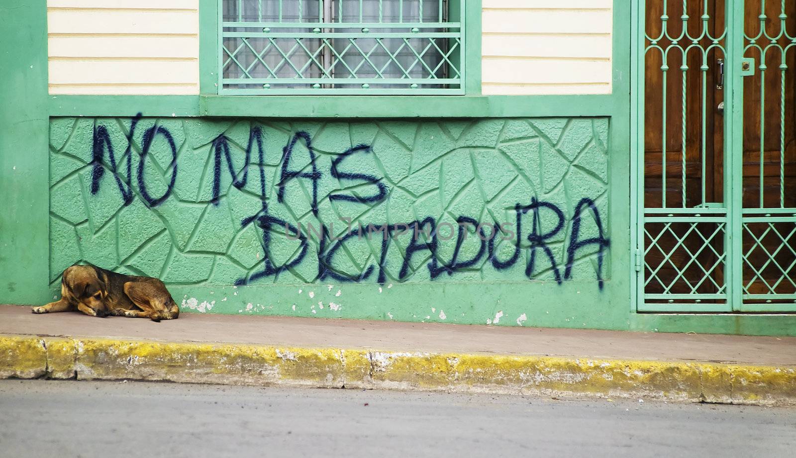 Dog sleeps in front of anti government grafitti in Granada Nicaragua