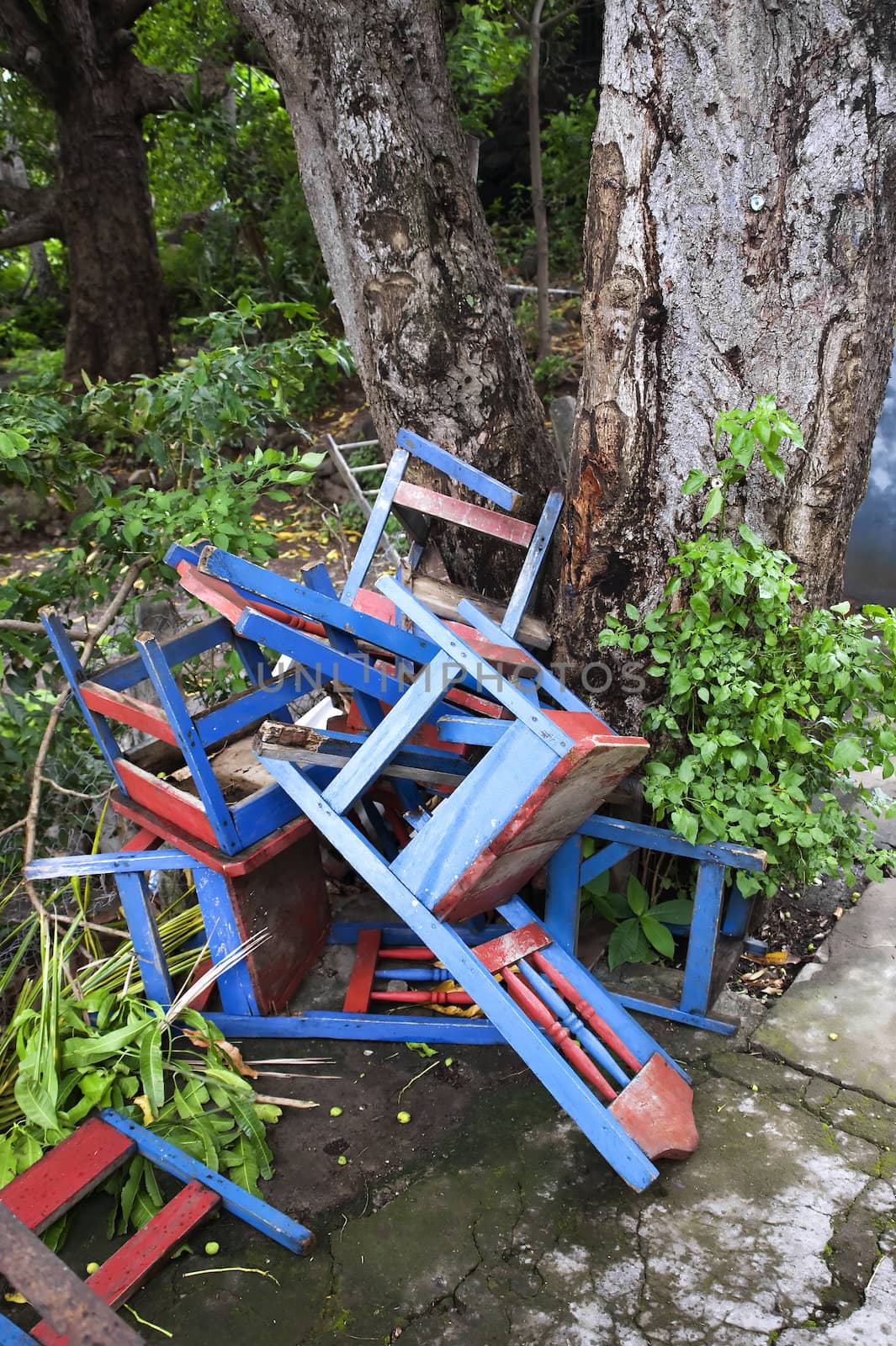 Colorful discarded chairs near a tree in Nicaragua