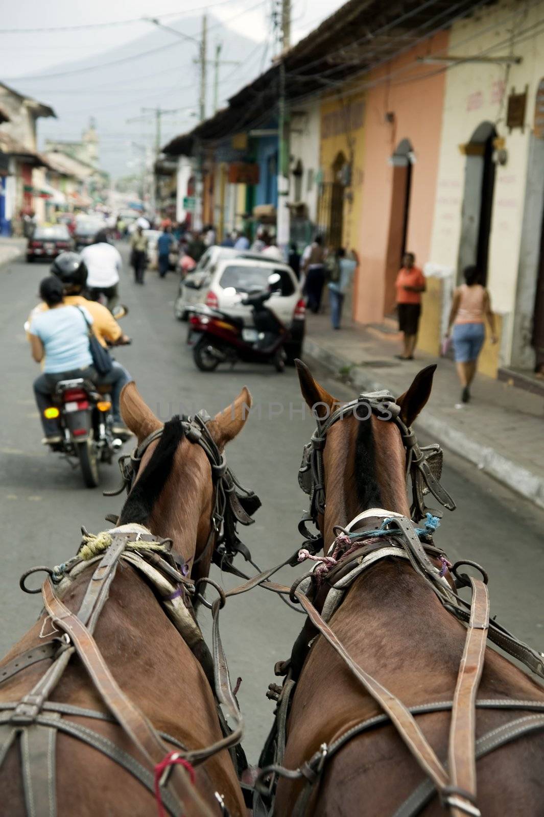 Horses on the street in downtown Granada Nicaragua