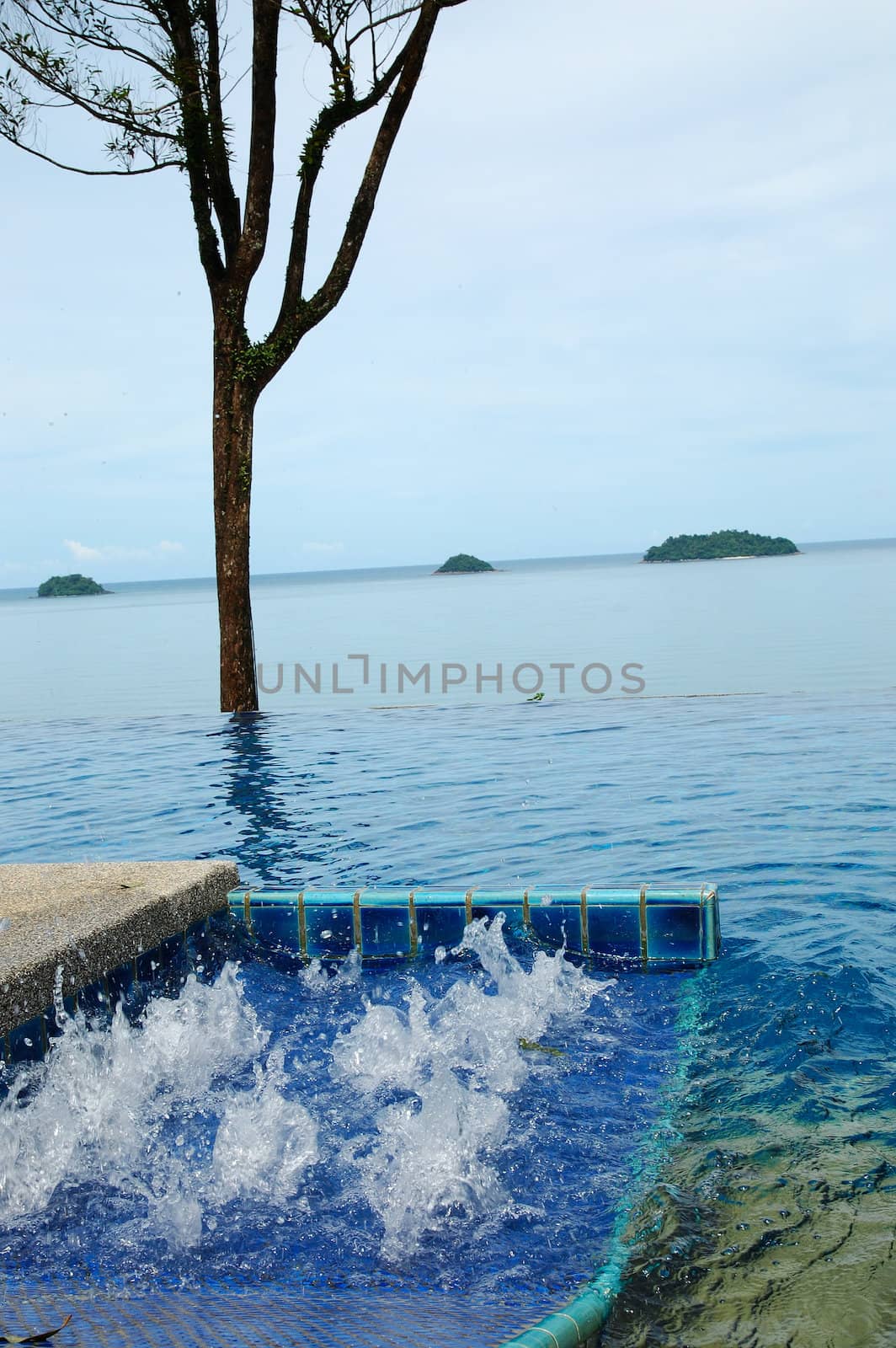 jacuzzi and tree near spa pool