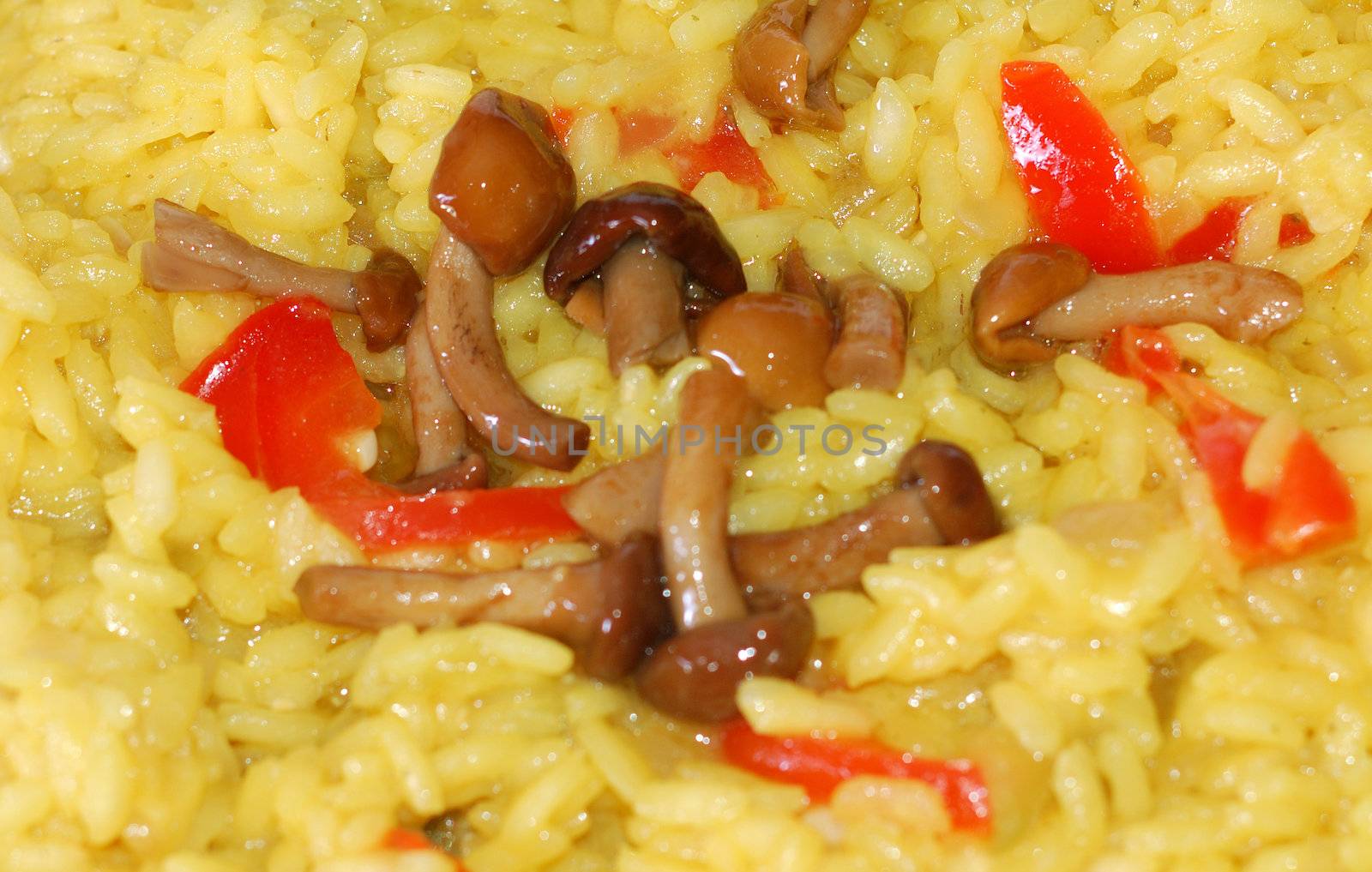 close up shot of a dish of risotto con funghi chiodini i