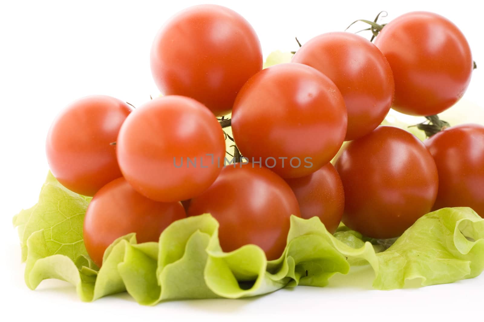 Fresh tomato branch isolated on white