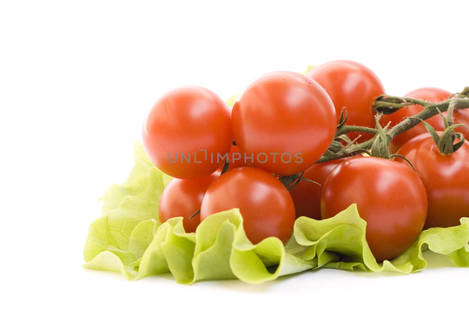 Fresh tomato branch isolated on white