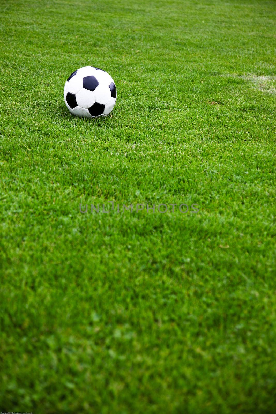 Soccer Ball On A Grassy Field by nfx702