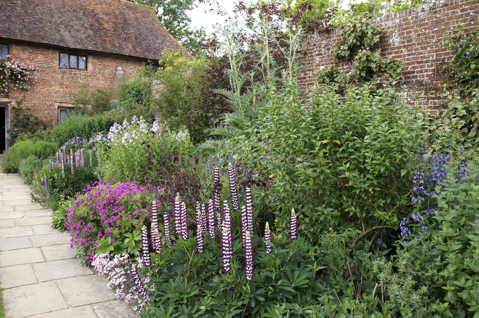 Cottage garden by mbtaichi