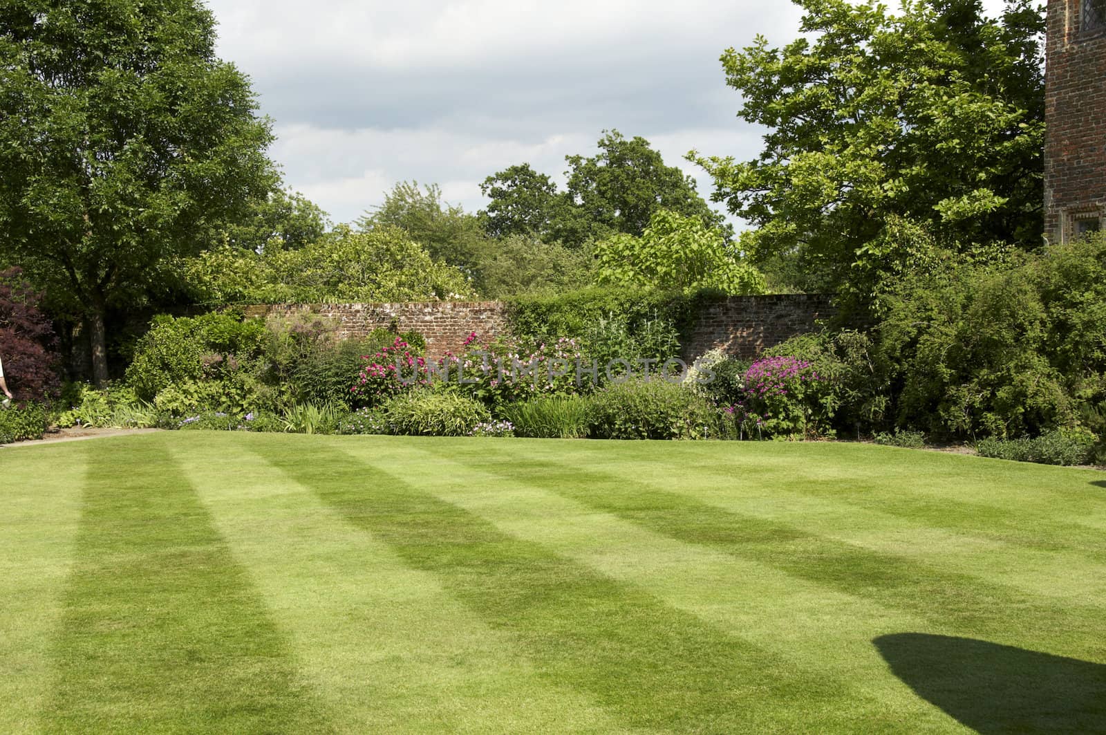 A   herbaceous border in an English cottage garden