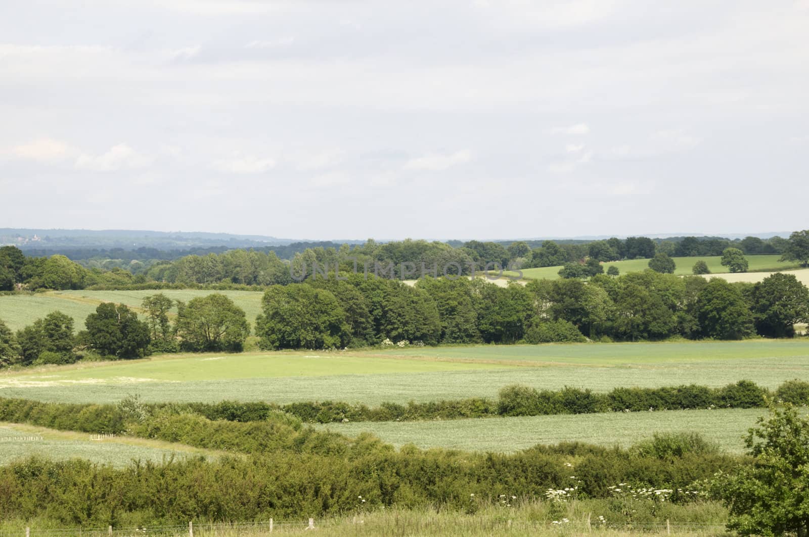 A view
 of the Kent countryside on a cloudy day