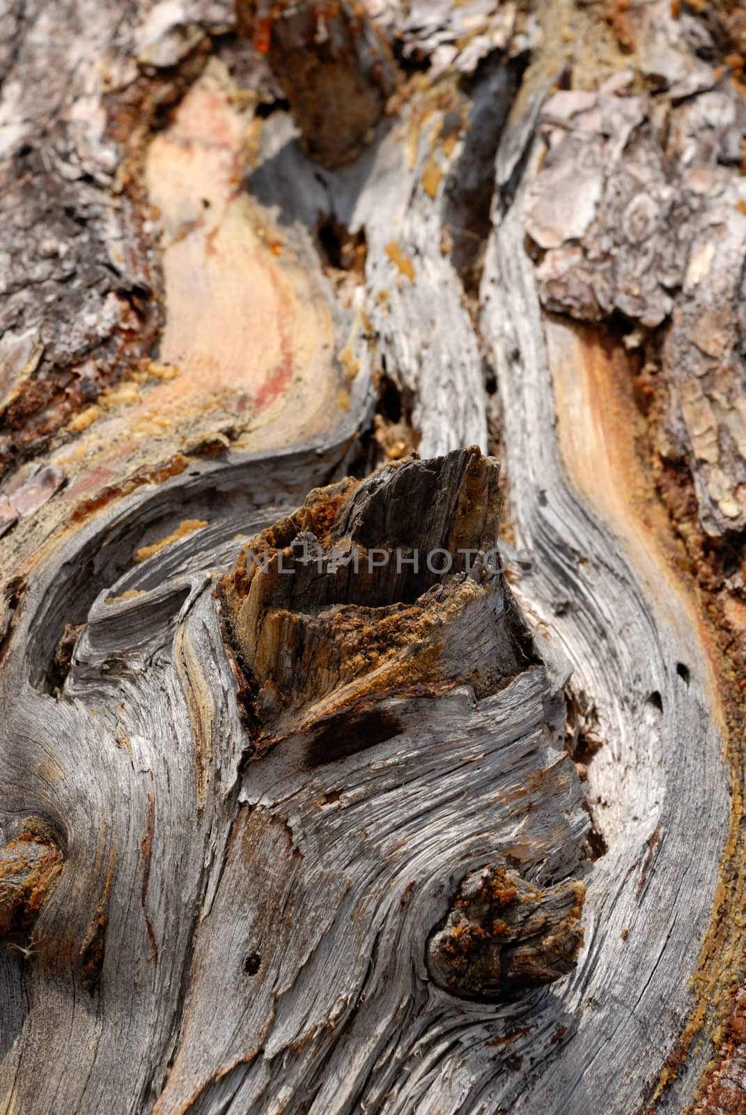 wood stream, textures
