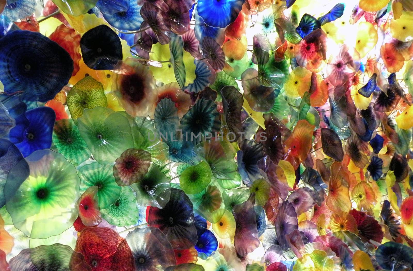 glass flowers by photosbyrob