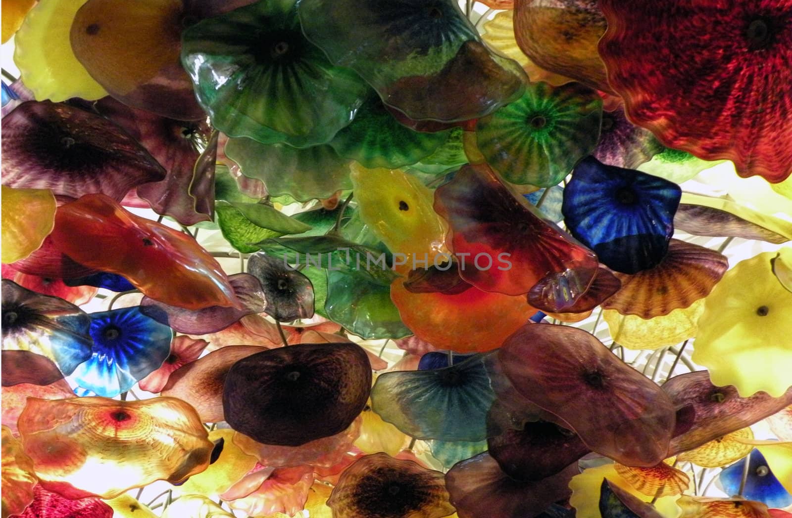 hand blown glass flowers, hanging from a ceiling.