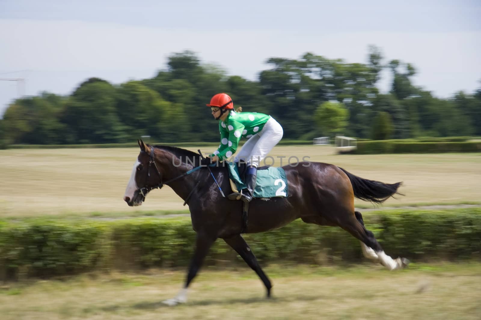Horse race jockey in competition