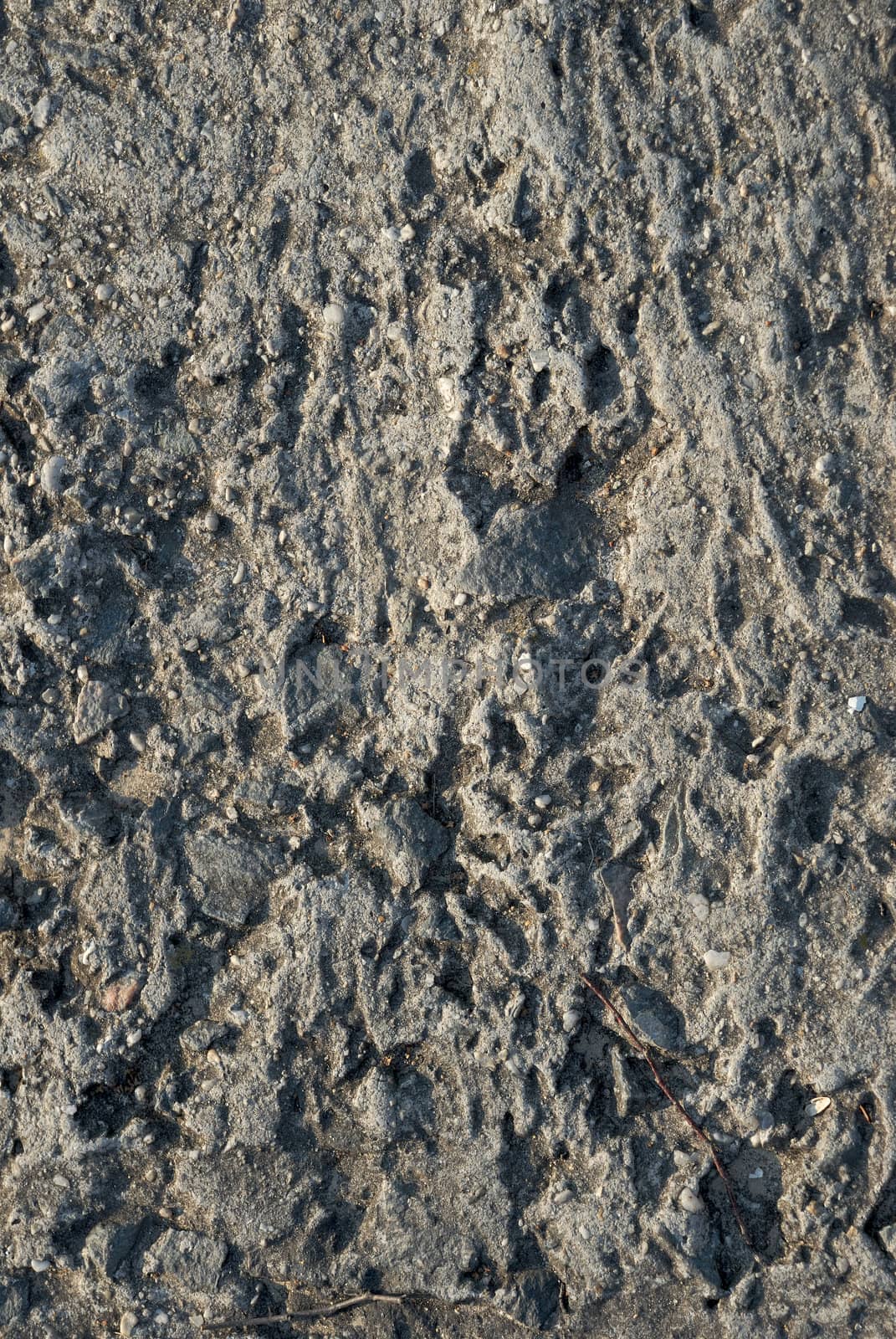 concrete texture