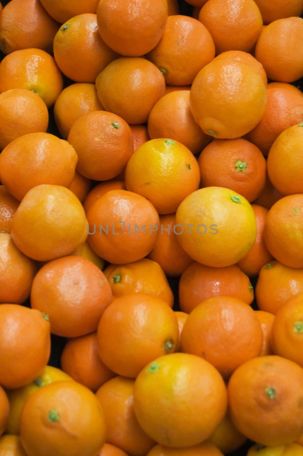 oranges ready to eat or to make juice from it