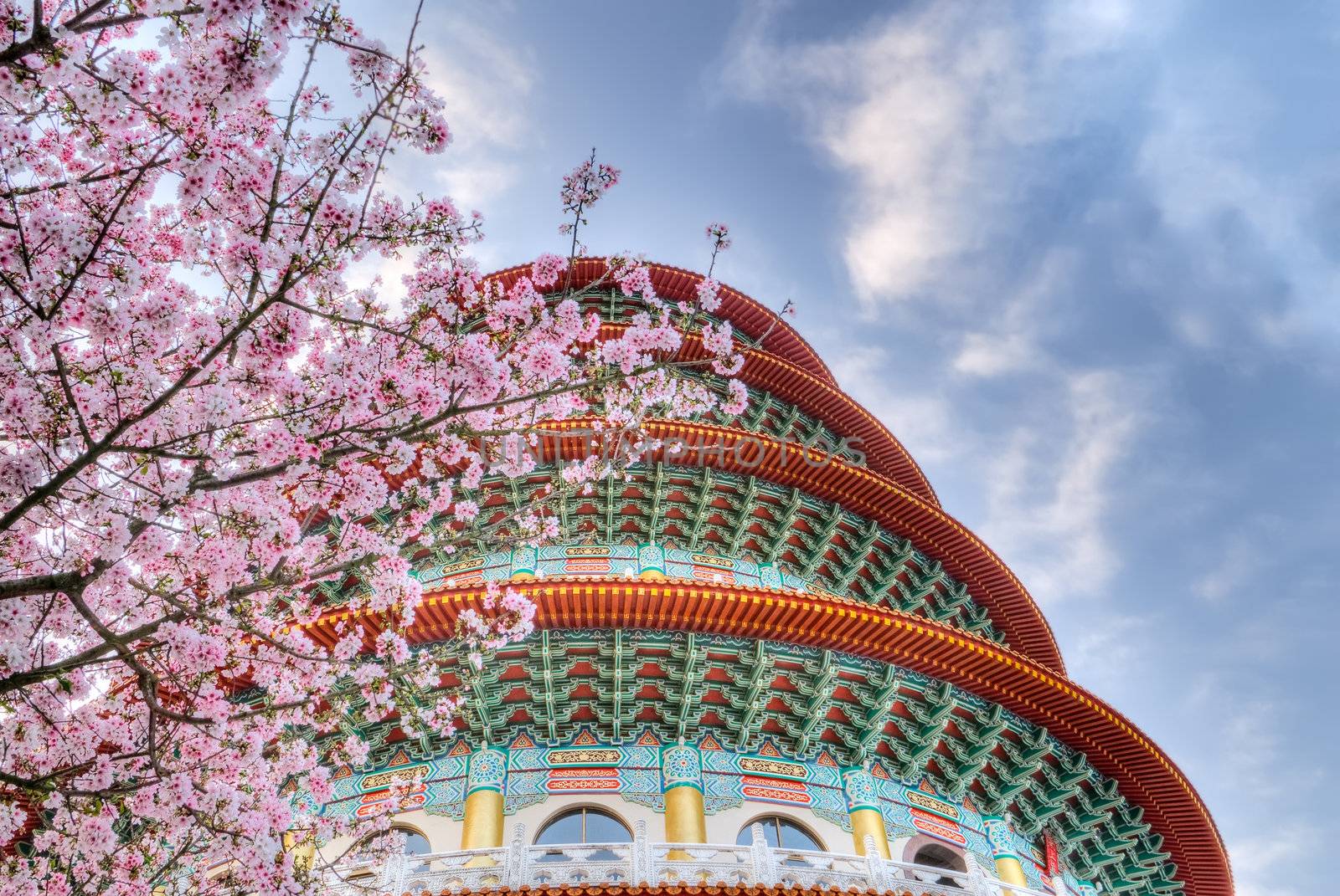 Sakura flowers and pagoda on blue sky in day.
