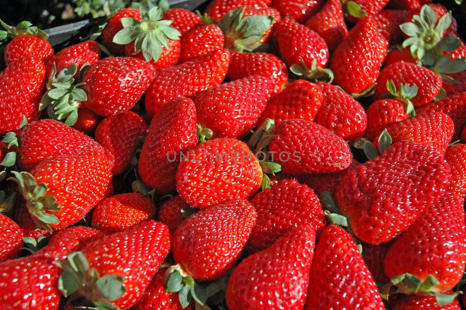 fresh Strawberries macro photo by raalves