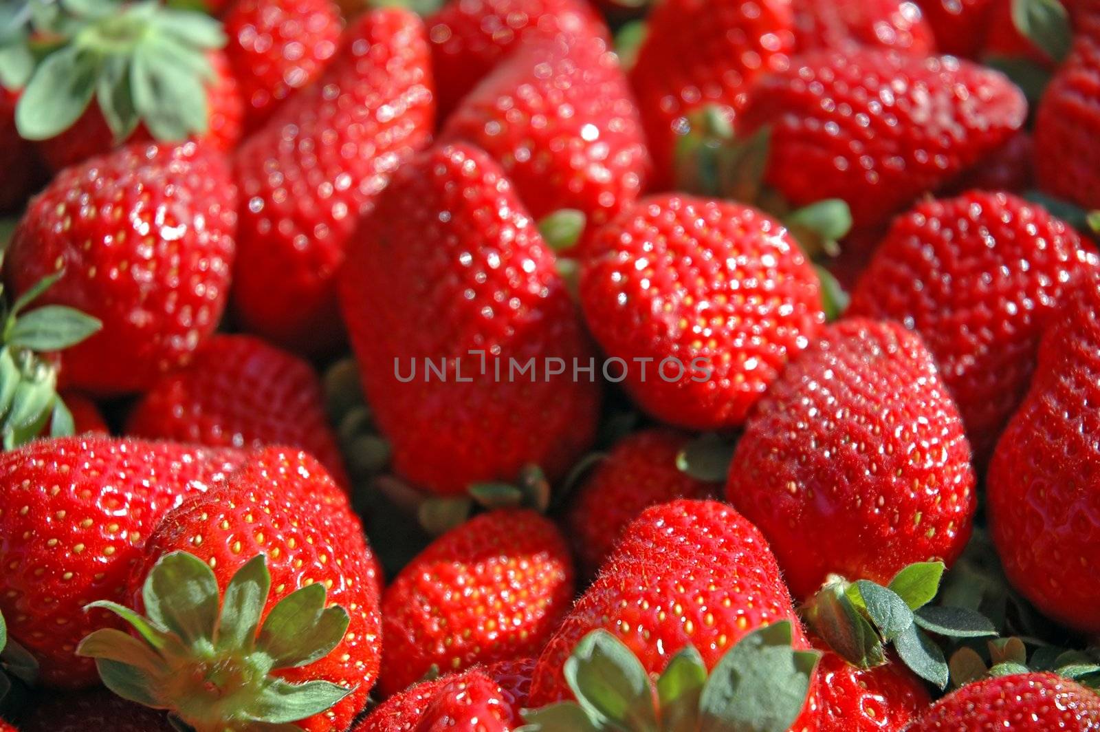 fresh Strawberries macro photo