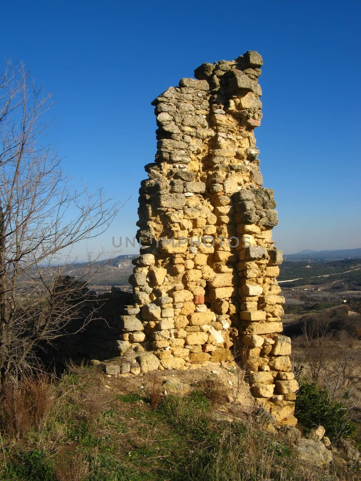 Ruins of the castle of the Queen Jeanne in Vernegues (Provence)
