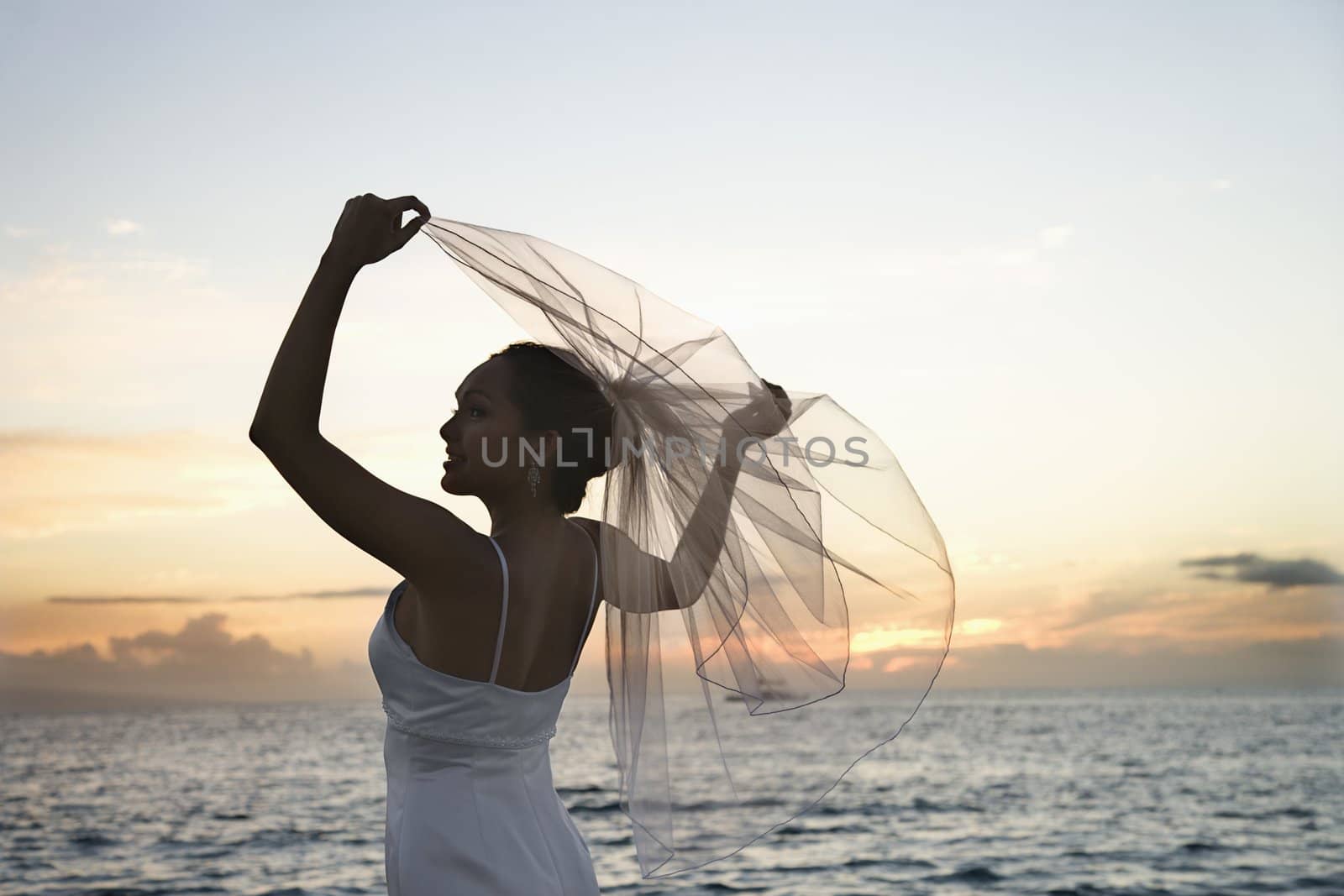 Young adult female Caucasian bride holding out veil on beach.