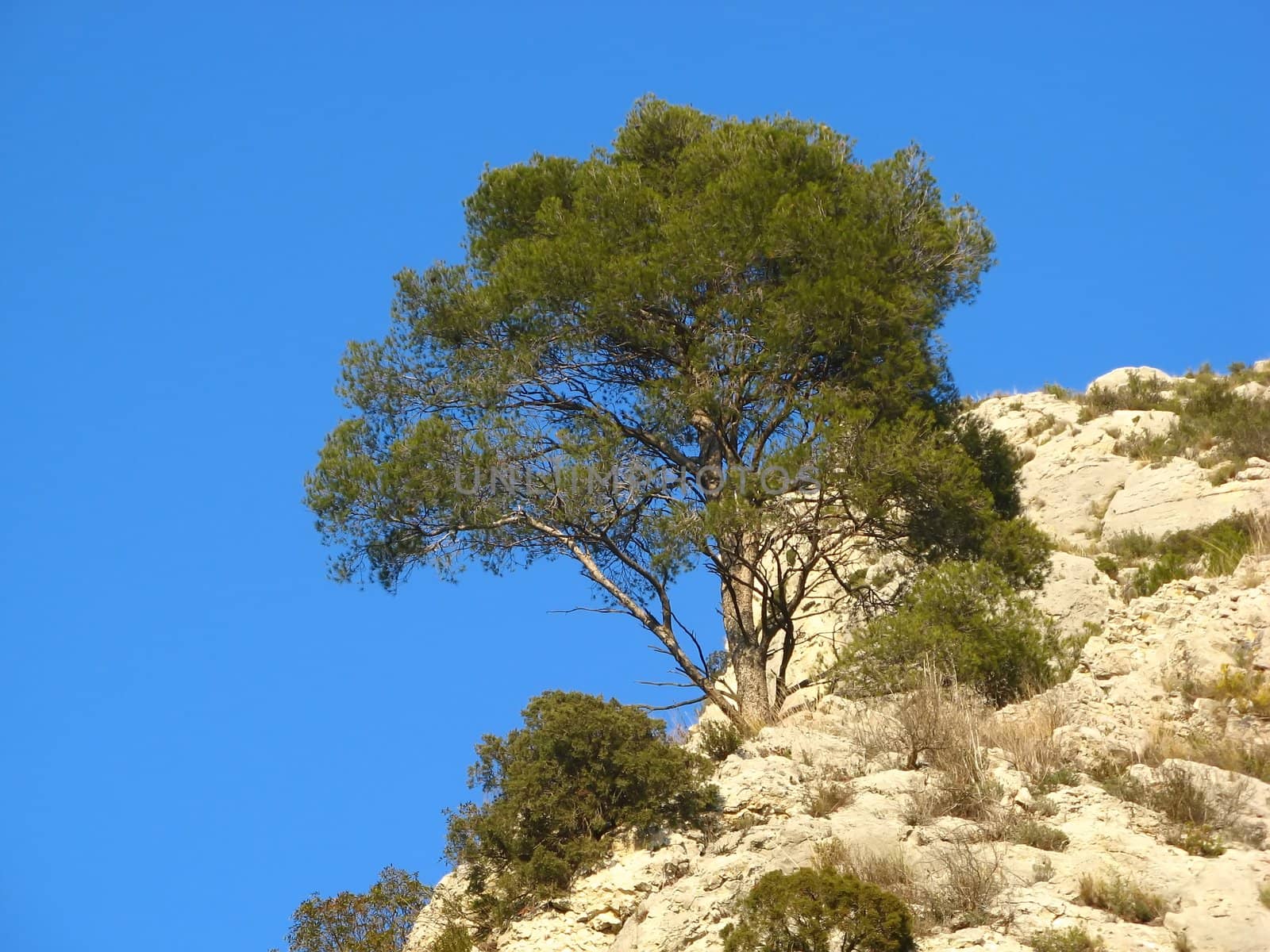An image of a provence mountain landscape... shot in the Luberon