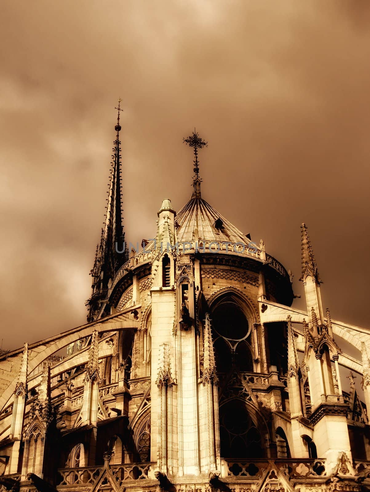 a view of the Notre-Dame Cathedral in Paris