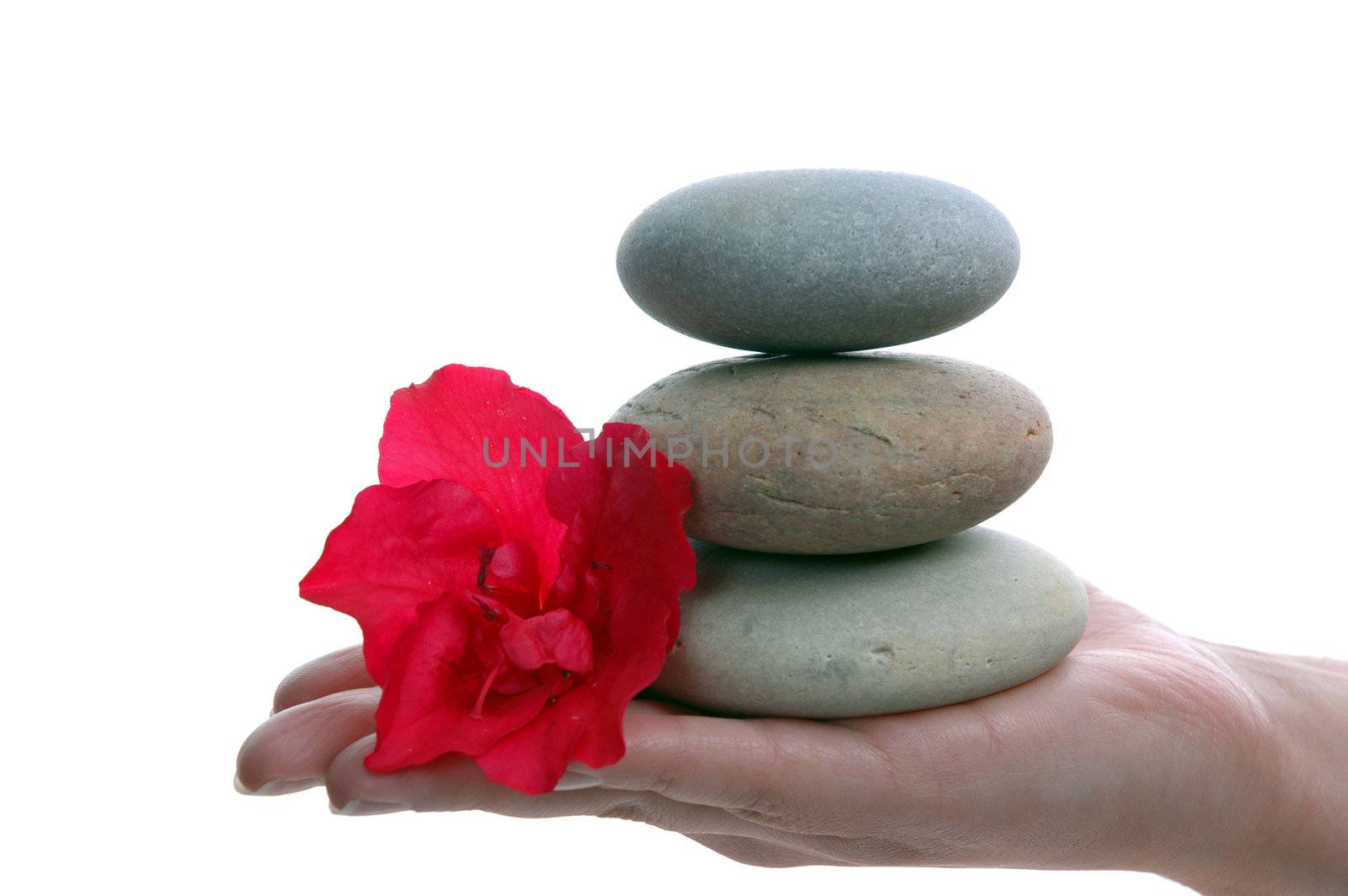 Balancing Stacked Stones and red flower
