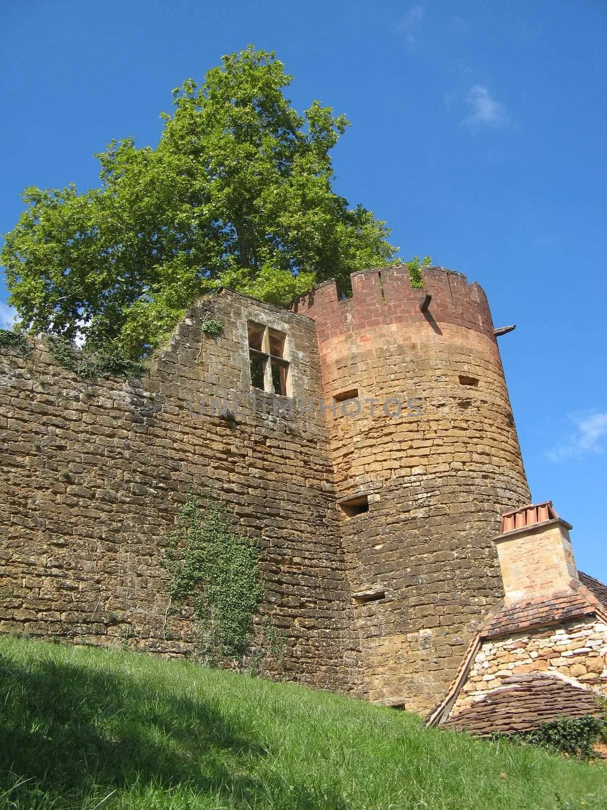 an image of the medieval castle of Castelnaud in France