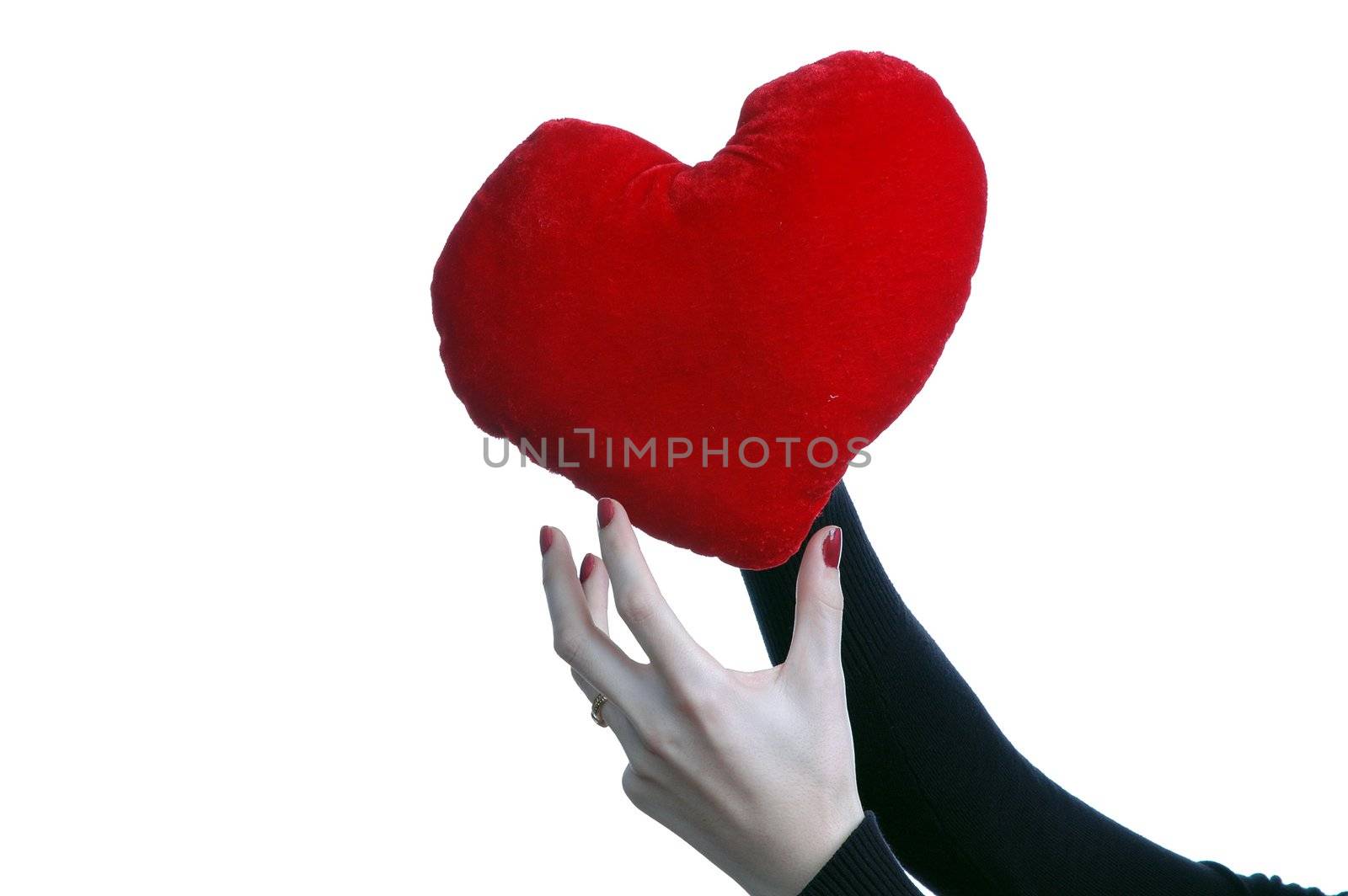 woman hands holding heart over white background by raalves