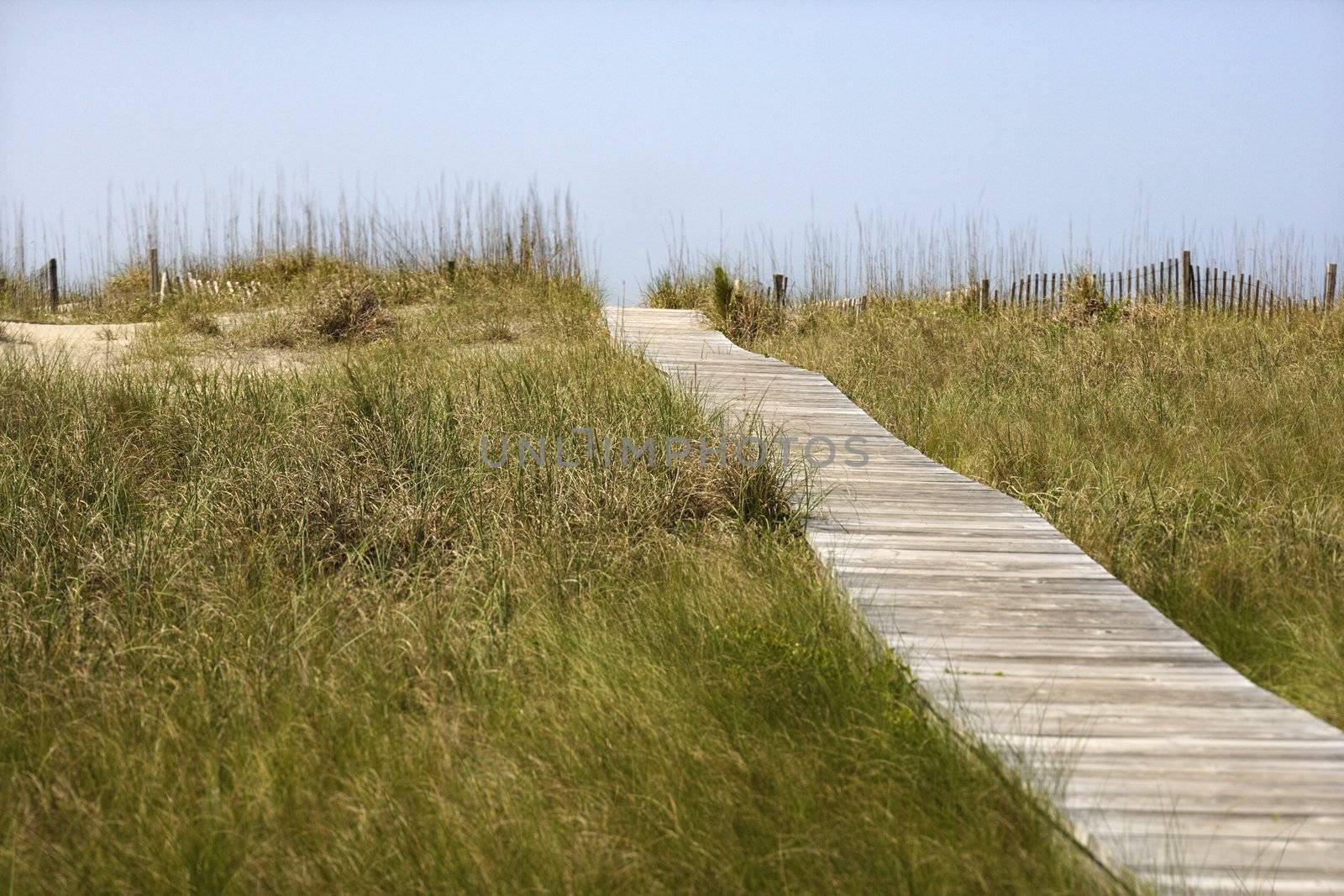 Wooden access pathway to beach. by iofoto