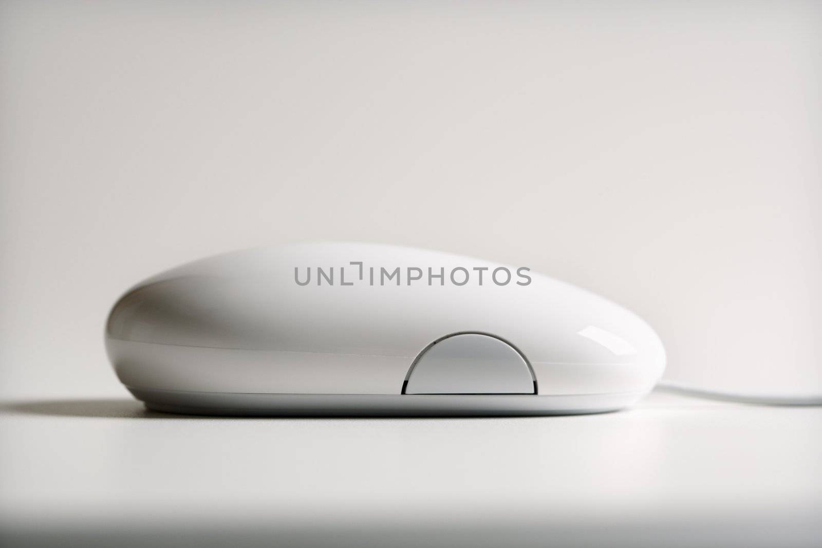 Computer mouse. by iofoto