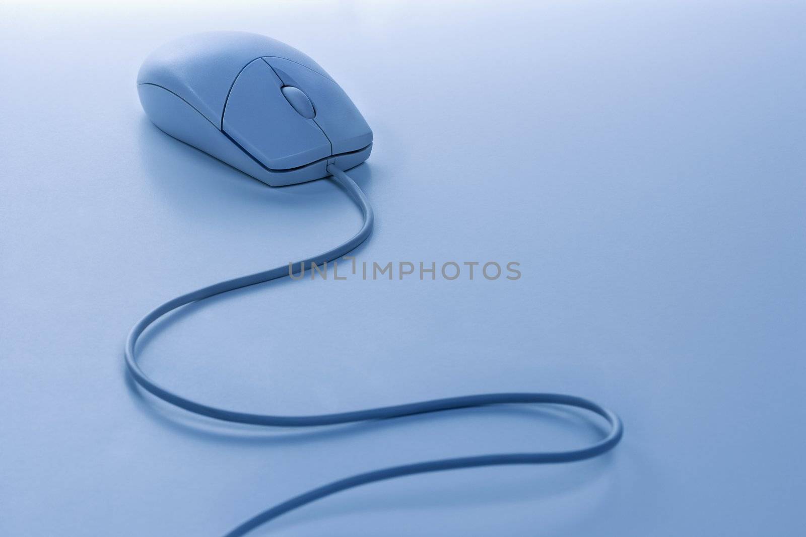 Computer mouse. by iofoto