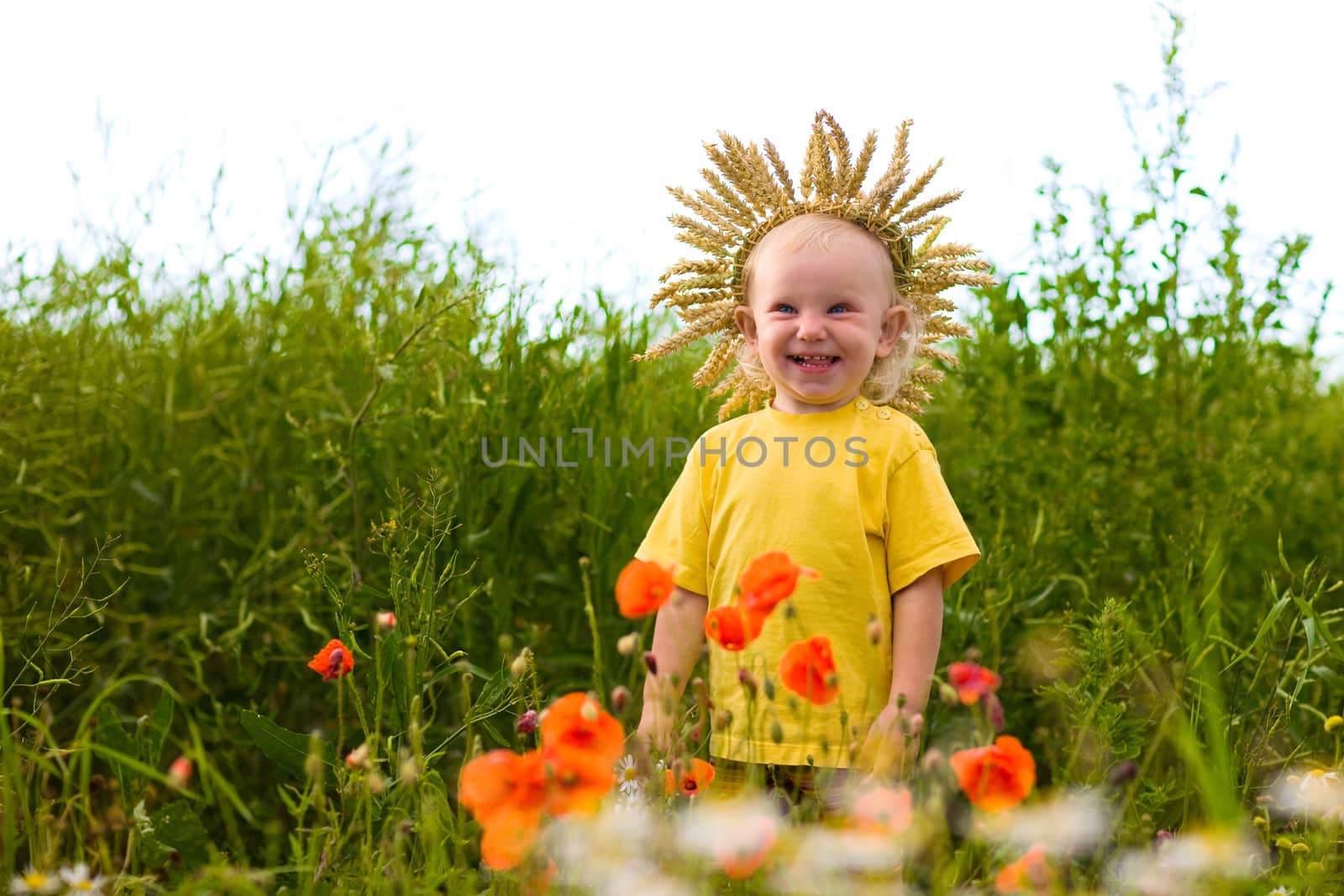 child in the field of poppies by vsurkov