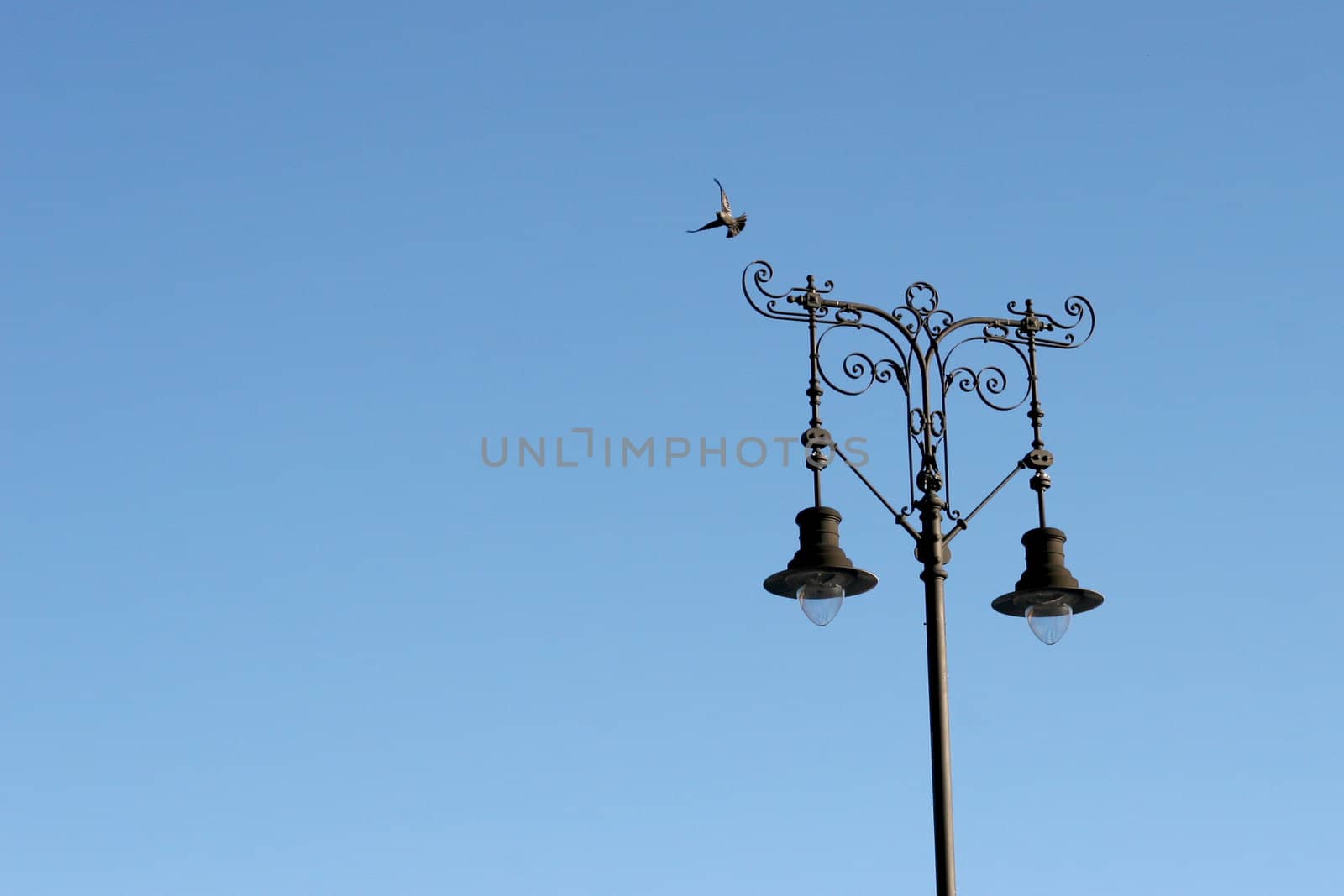 lamp post and flying pigeon