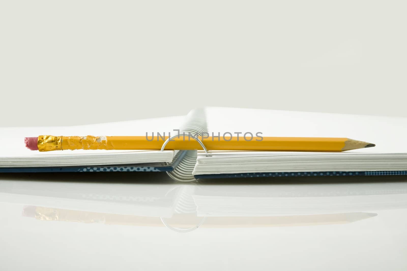 chewed yellow pencil and notebook