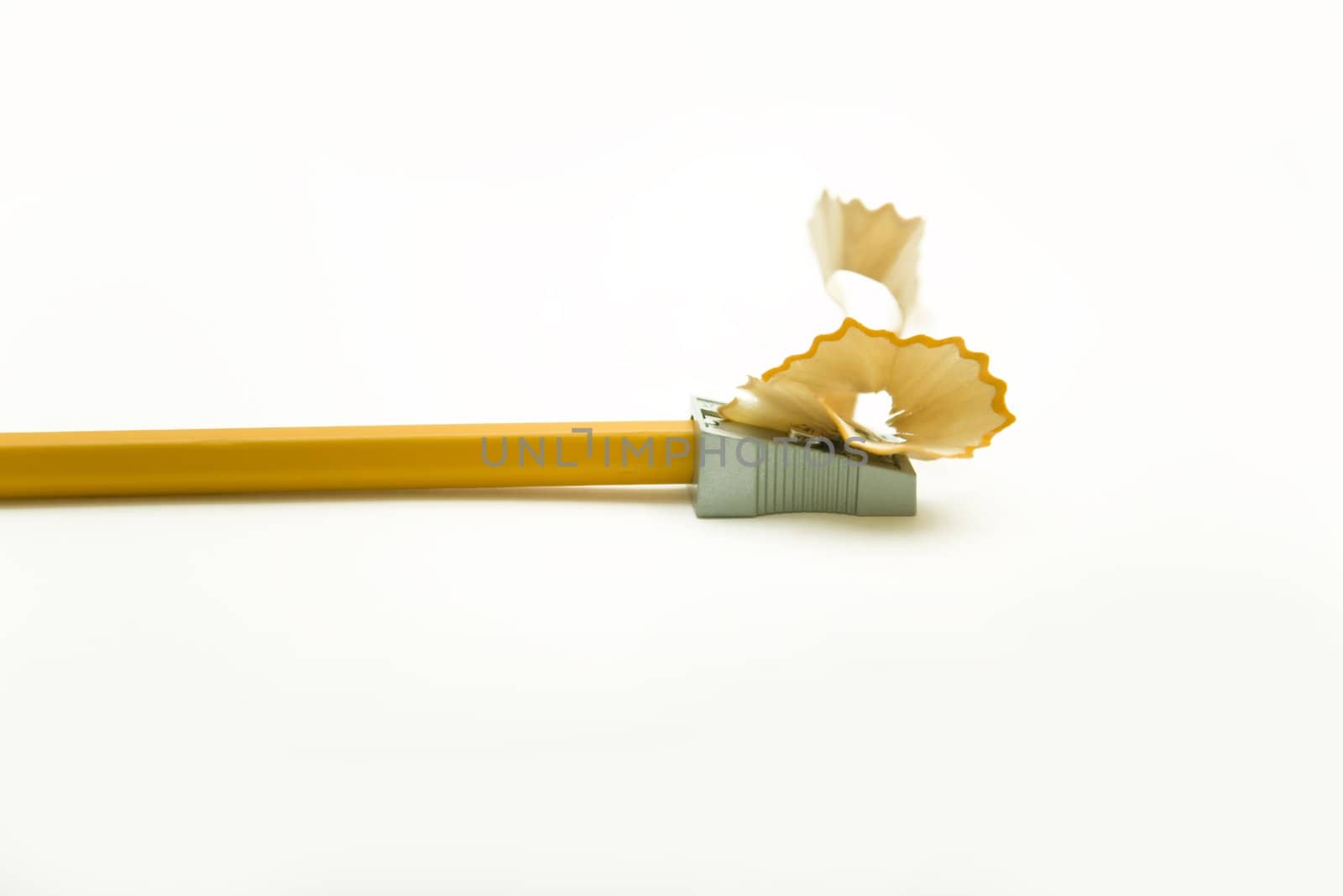 closeup of yellow pencil sharpend by sharpener