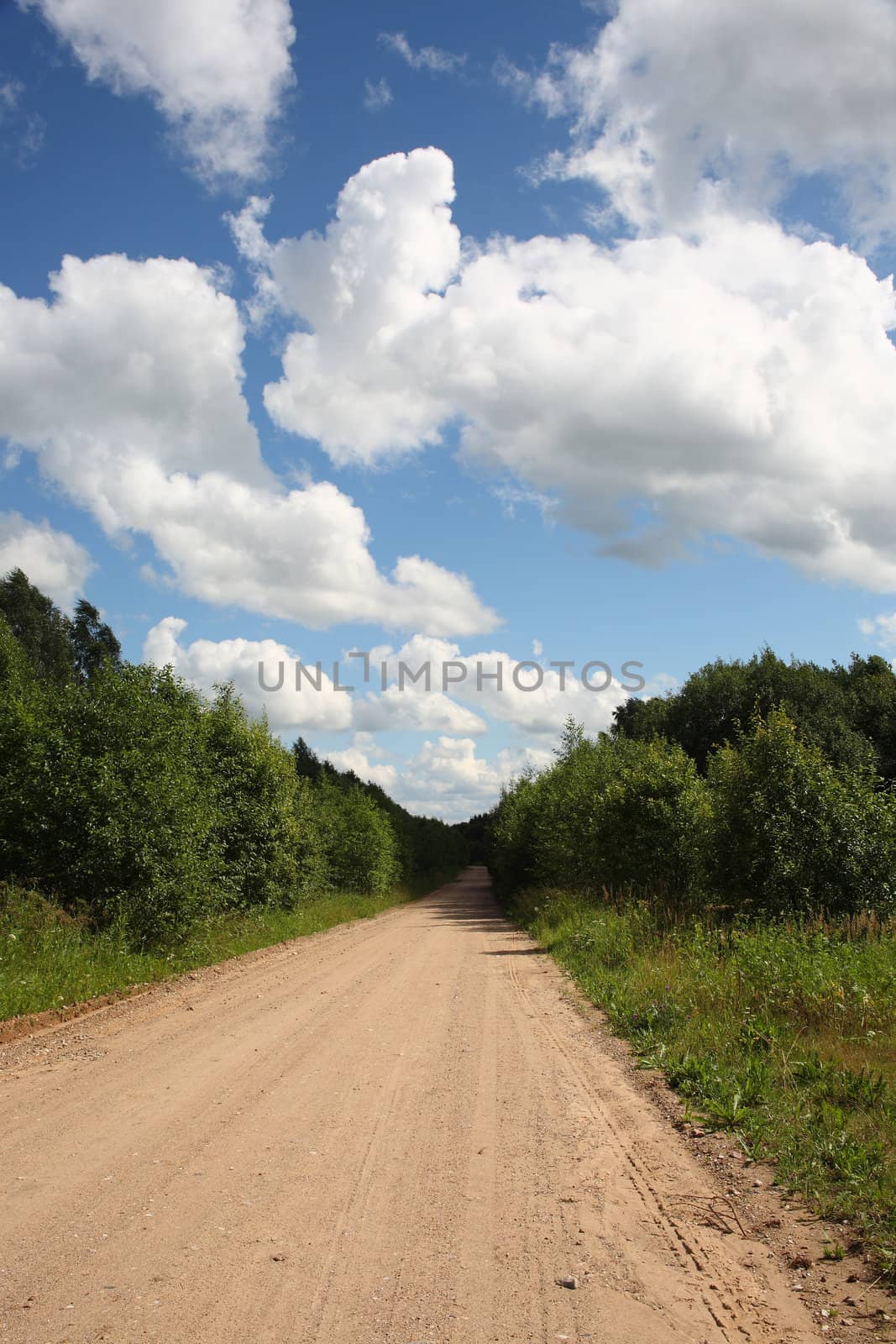 The country road leaving in forest. Landscape. Russia