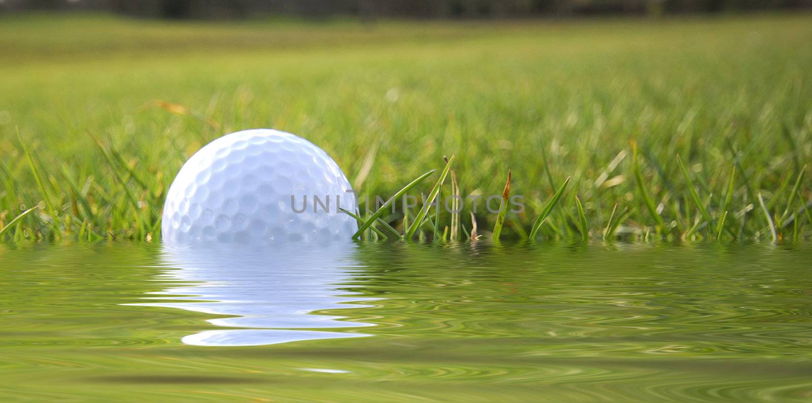 Closeup of golf ball in simulated water