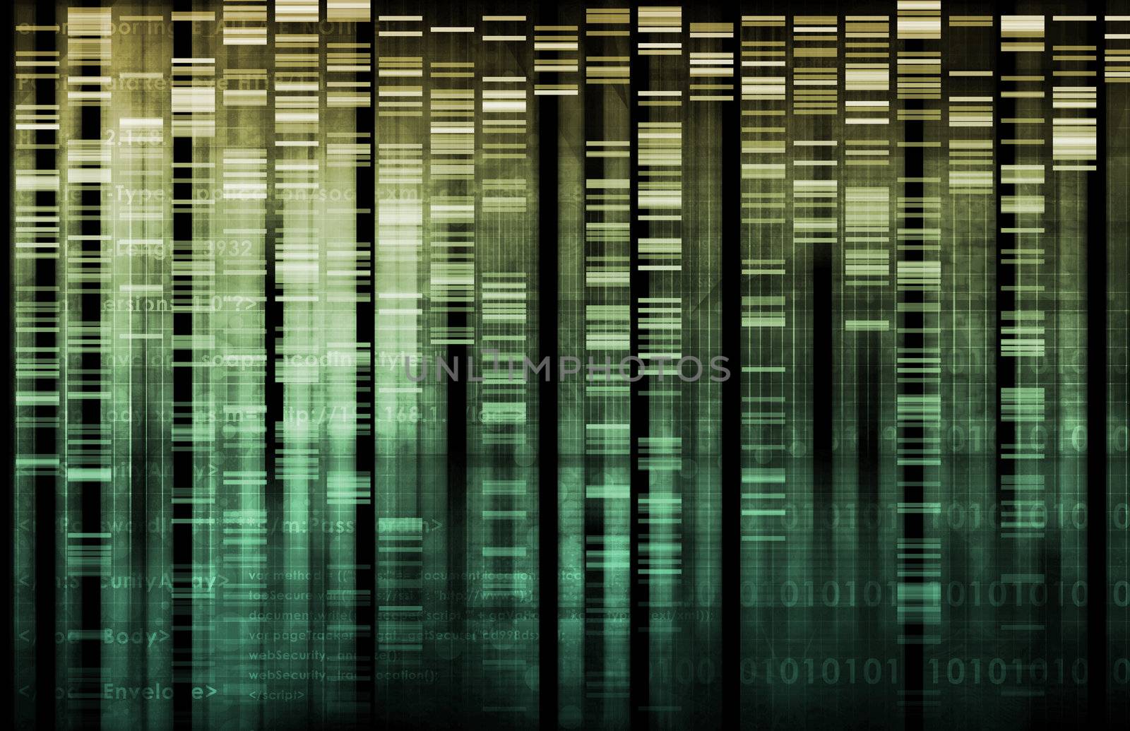 Information Technology Data Network as a Abstract