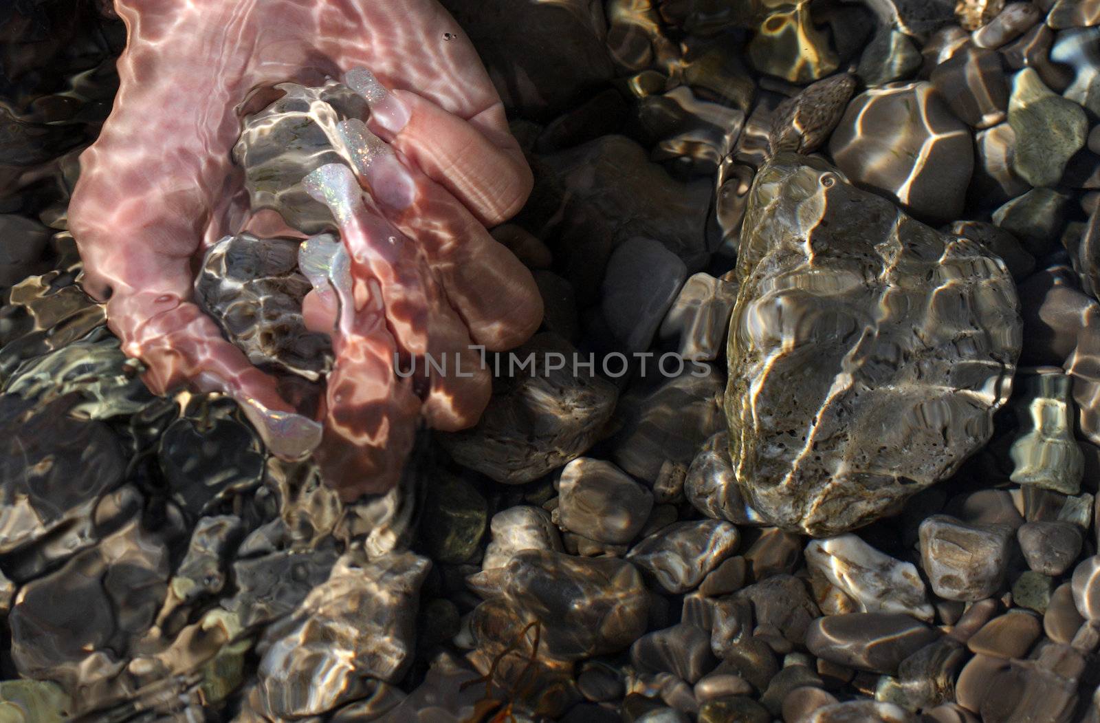 nails, hand, female, manicure, fingers, the, sea, stones, water 