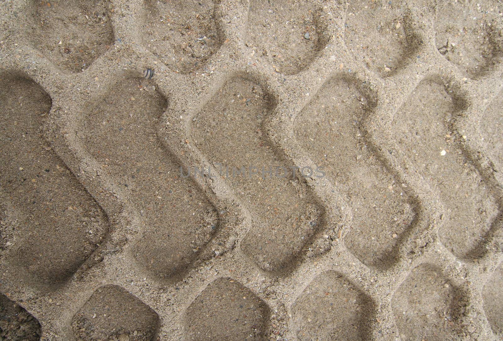 Bulldozer tracks in the sand