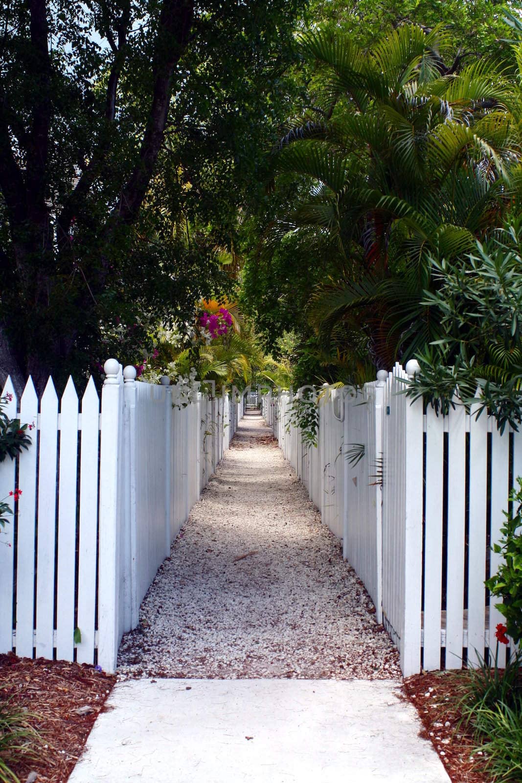 A walkway lined by white picket fences and tropical foliage