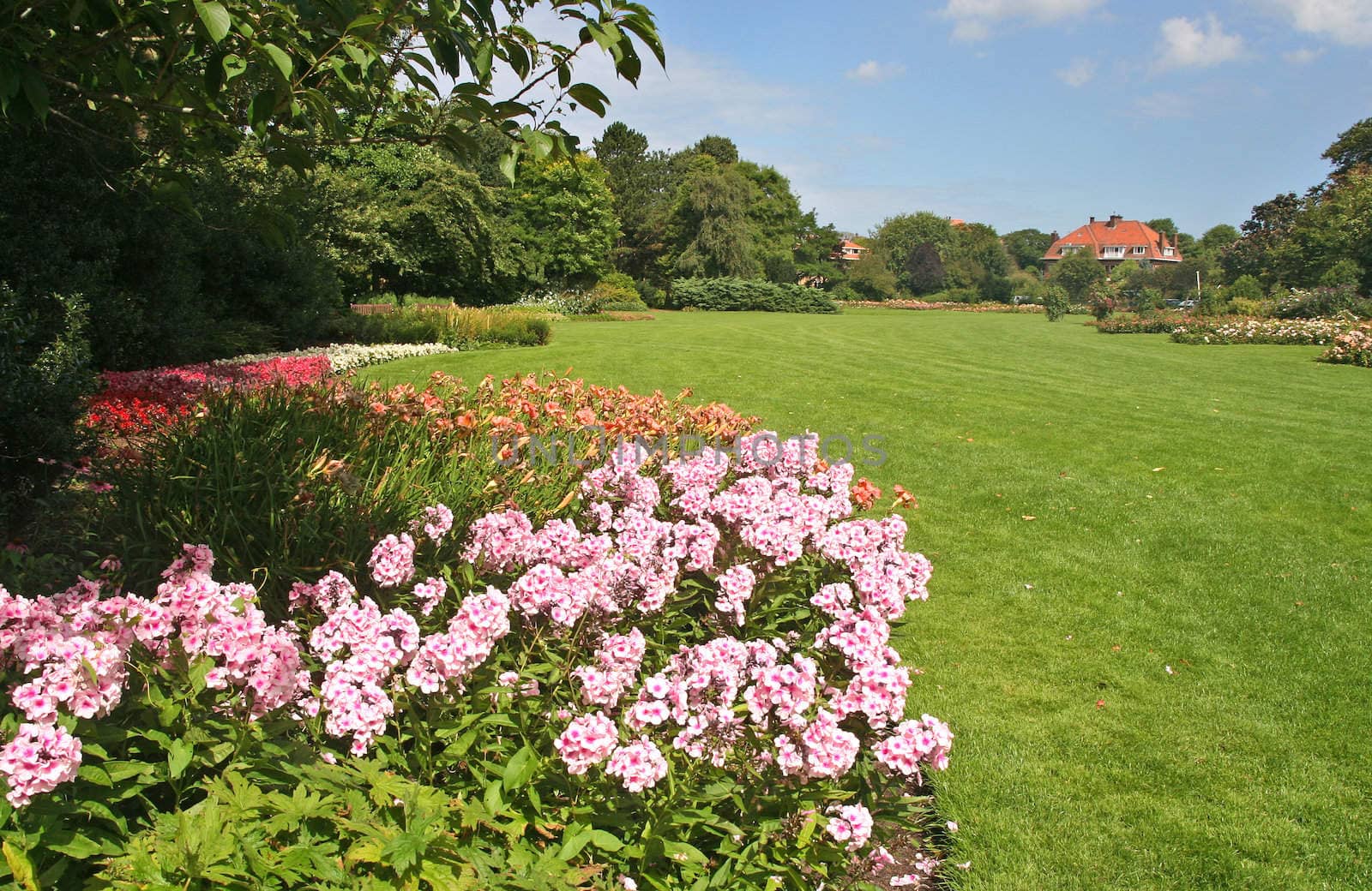 Westbroek Park with spring flowers in The Hague, Holland