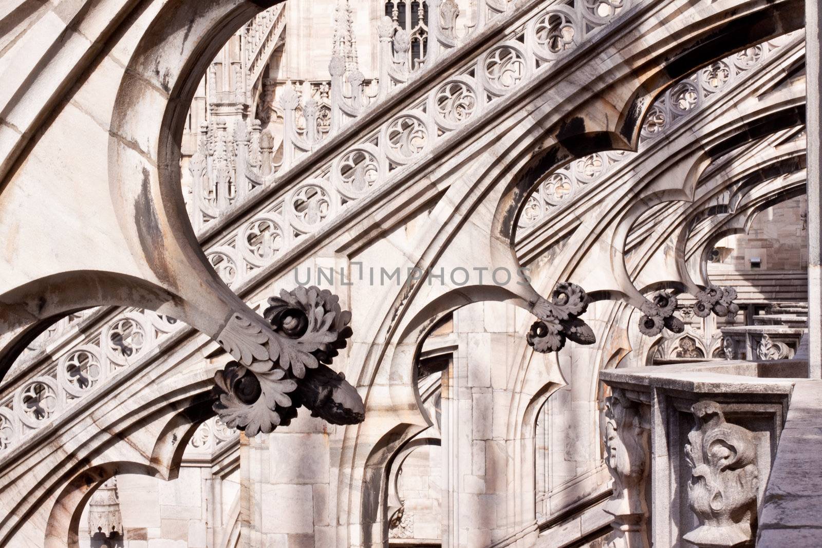 arches on the cupola of Milan's cathedral
