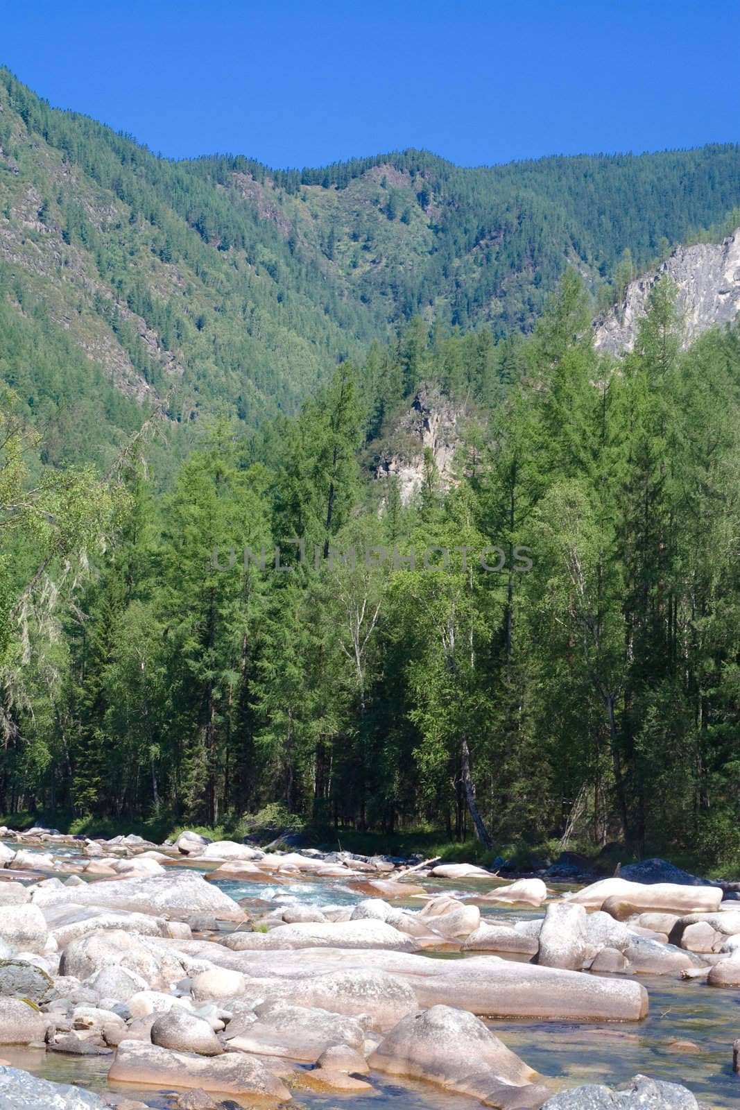 Mountain panorama: sky, river and forest 
