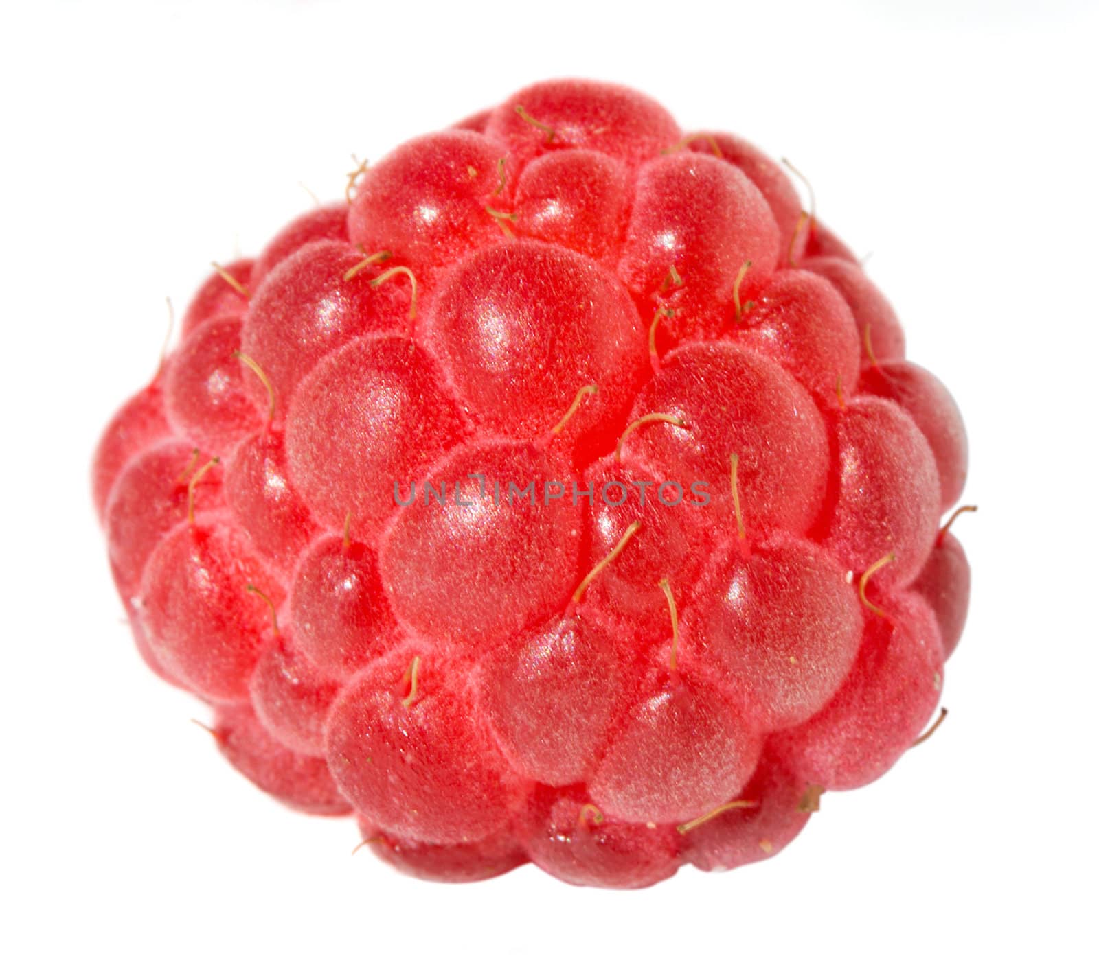 close-up single ripe raspberry, isolated on white