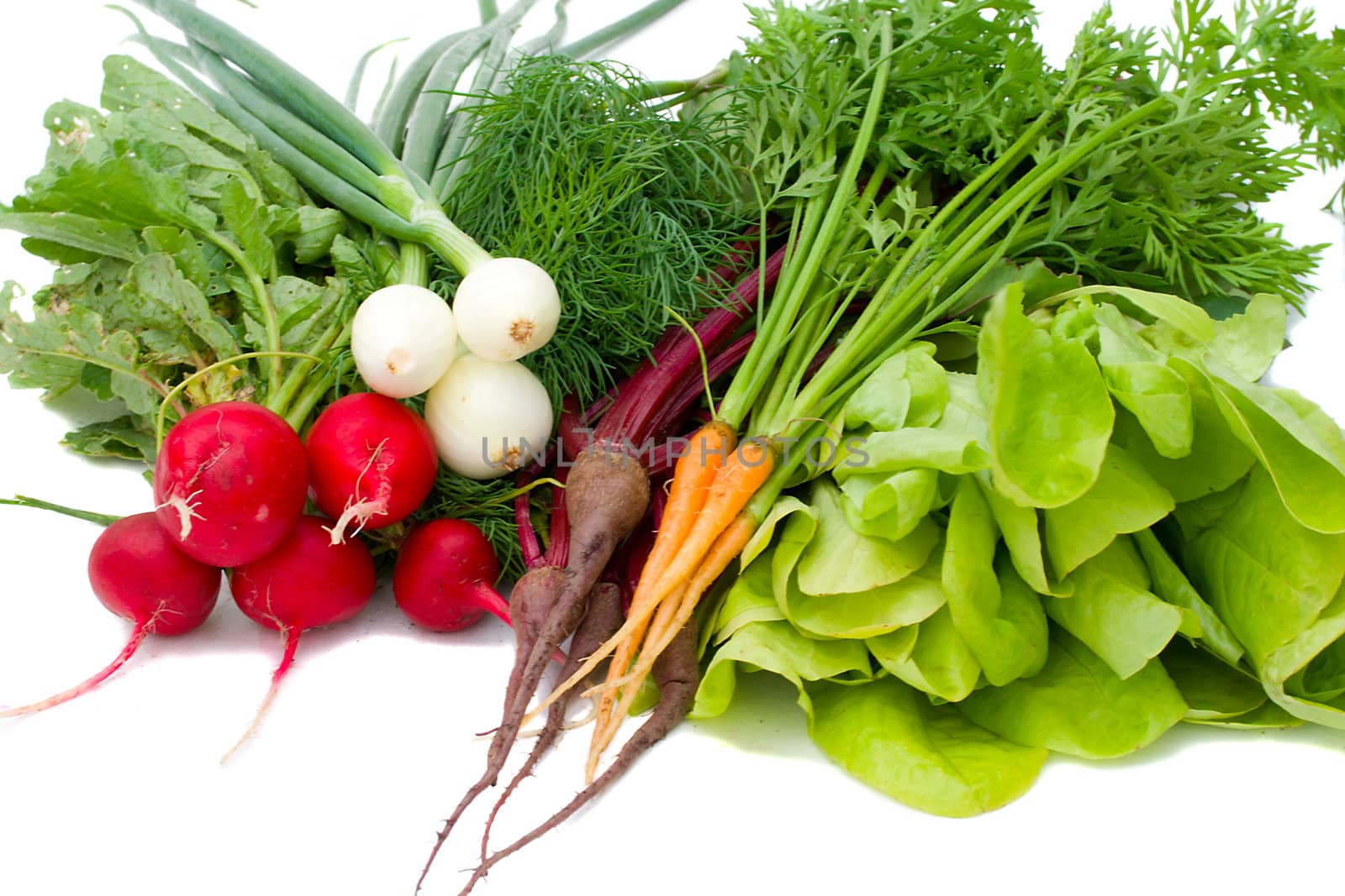 close-up set of vegetables, isolated on white