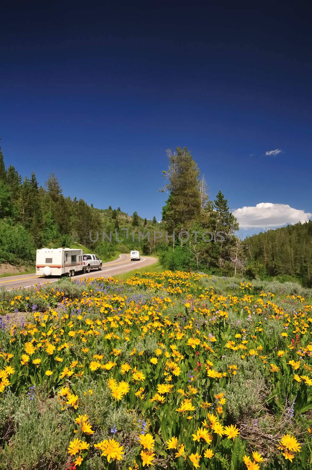 Two recreational vehicles driving through wildflowers in the mountains near the Grand Tetons.