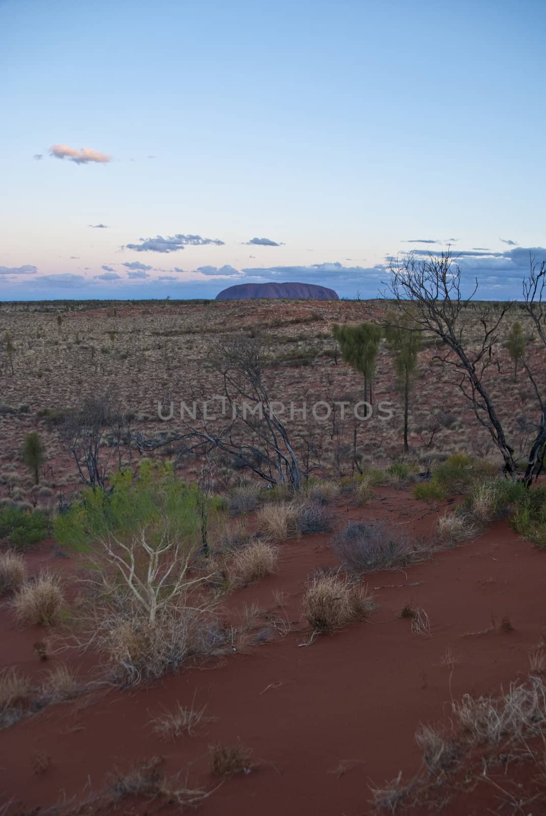Australian Outback, Northern Territory, Australia by jovannig